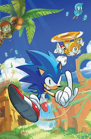 Sonic the Hedgehog (IDW) Art by jongraywb