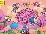 Spring Valley Zone