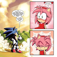 Amy admires Sonic