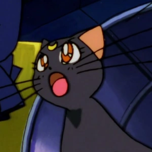 劇場版 美少女戦士セーラームーンR | The Fandub Database | Fandom