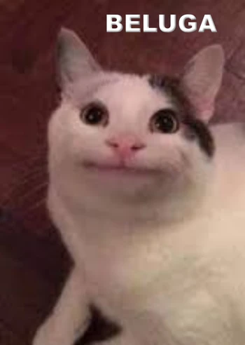 kanye beluga