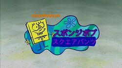 フタツアナスカシカシパン♡ブンブク♡ウニ殻♡標本