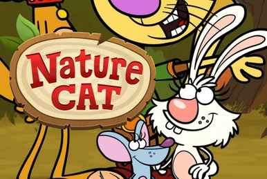 DORA the EXPLORER　ドーラ　三輪車 Bravo Nickelodeon Dora the Explorer Pets 3 Wheel Scooter