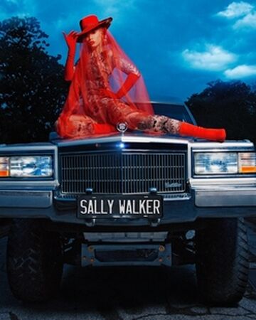 'Sally Walker' cover.jpg