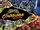 Teenage Mutant Ninja Turtles: The Cowabunga Collection