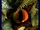 Sid Meier's Dinosaurs!