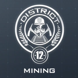 District 12 Seal
