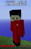 Skyblock skin