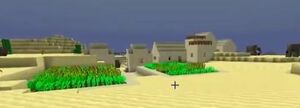 Village.jpg