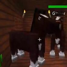 Horses In Minecraft Oasis Season 1 Cupquake Wiki Fandom