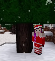 Christmas skin