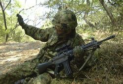 SF:TYPE89 | Ijji Wiki | Fandom