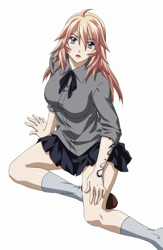 Yoshitsune Minamoto Kurou/Image Gallery, Ikkitousen Wiki