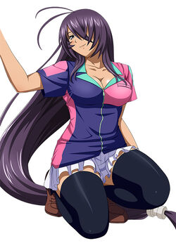 Unchou Kan-u, Ikkitousen Wiki