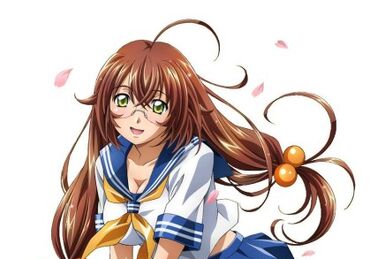 Shikou Soujin, Ikkitousen Wiki