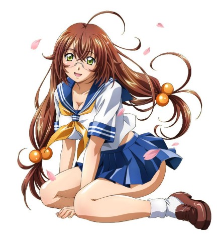 Shin Ikki Tousen: announced the anime taken from the battle manga