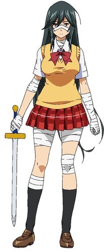 Shin Ikkitousen (Shin Ikki Tousen) - Characters & Staff