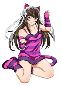 Teni, Ikkitousen Wiki