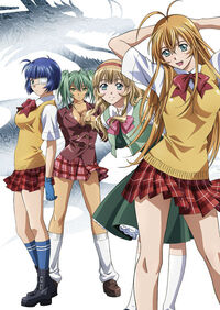 Ikkitousen: Great Guardians, Ikkitousen Wiki