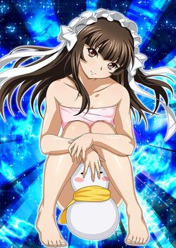 Teni, Ikkitousen Wiki