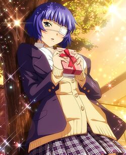 Shimei Ryomou, Ikkitousen Wiki