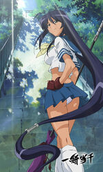 Ikkitousen Wiki