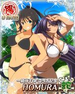 Collaboration Senran Kagura New Wave × Ikkitousen