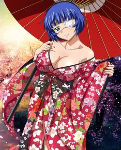 Shimei Ryomou, Ikkitousen Wiki