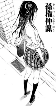 Sonkon Chuubou 孫權 ちゅうぼう
