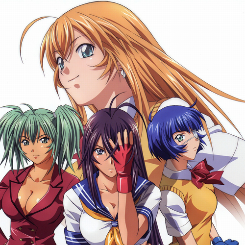 Shin Ikkitousen' Sequel Manga Gets TV Anime 