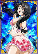 Ikkitousen cards night kaku 4 by farramm dbesq5f-fullview