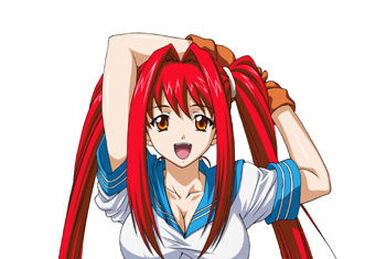 Do Not Fight Unless The Situation Is Critical, Ikkitousen Wiki