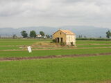Deltebre