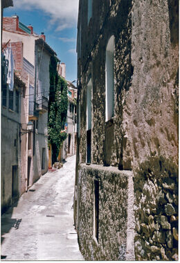 Un carrer de Torroja