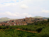 Foto pinell de brai-6496.jpg