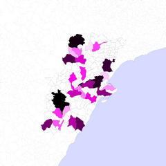 Municipis grans
