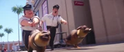 German shepherds and  chased the minions and Mel after they accidentally crossed the compound illegally In Los Angeles