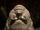 Jon Arryn