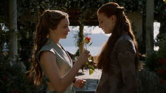 Margaery and sansa stagione 3