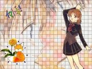 Imadoki-Tanpopo