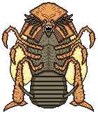 Cockroach