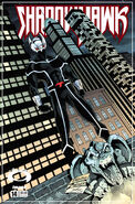 Shadowhawk #14