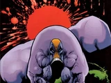 The Maxx Vol 1