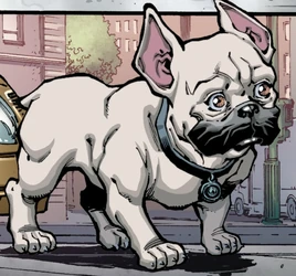 Le Bruiser (Invincible) 001