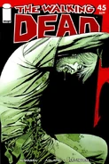 The Walking Dead #45 (May, 2008)