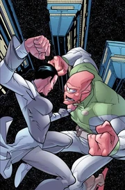 1420045-invincible 45 cover by wya