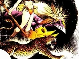 The Maxx Vol 1 2