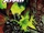 Spawn Vol 1 344
