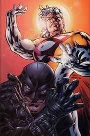 188345-189381-midnighter