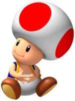 The Full History of Toad from the Super Mario World